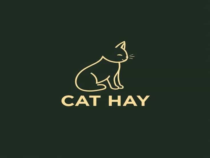 New Cathay Restaurant And Bar Menu