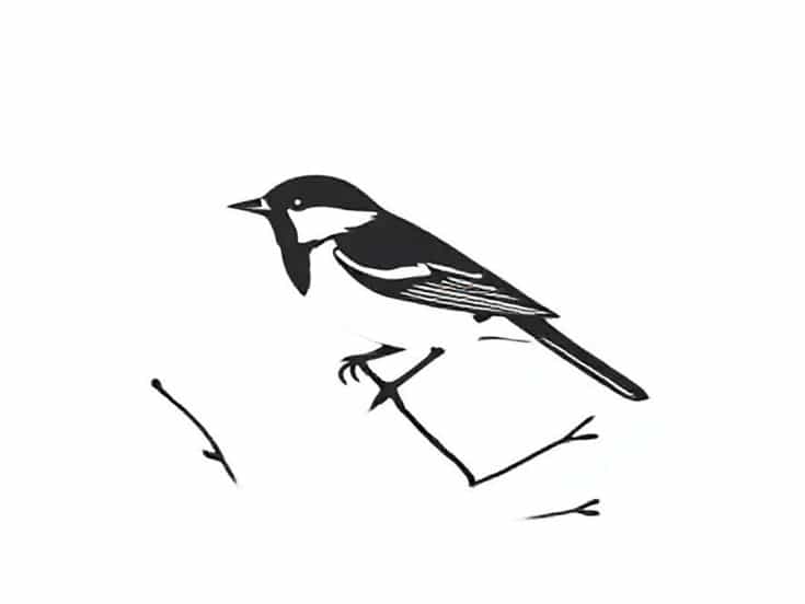 Not A Sparrow Falls Lynnette Bonner