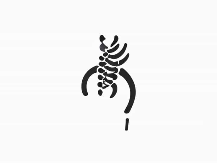 Omni Neurological Orthopedic & Spine Center