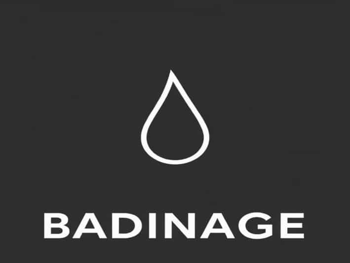 Que Veut Dire Le Mot Badinage