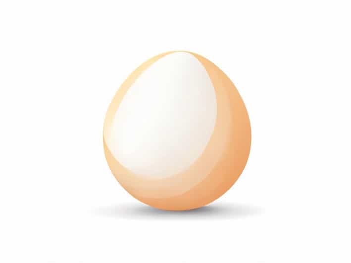 Quick Dry Eggshell Pure Brilliant White