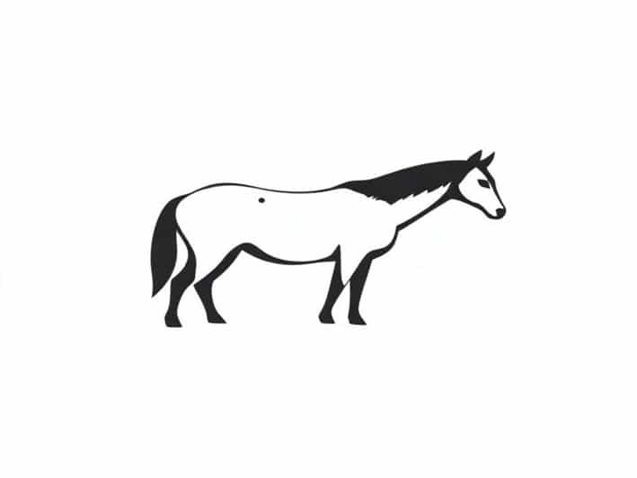 Rare Of Breed Highs And Lows