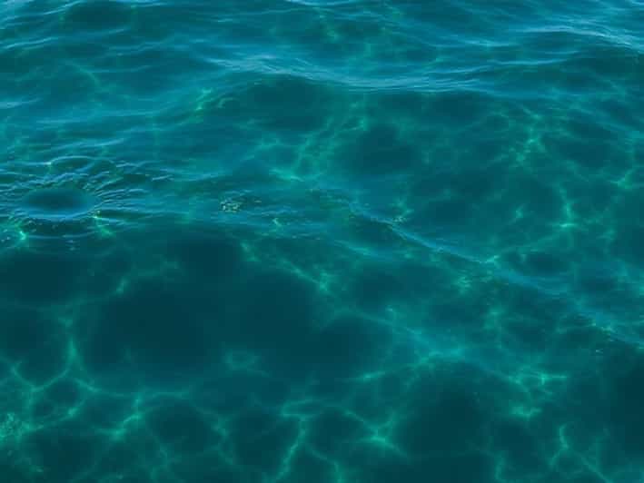 Reasons Not To Pollute The Ocean