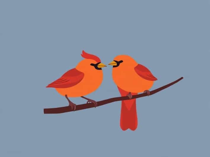 Red Canaries For Sale Near Me