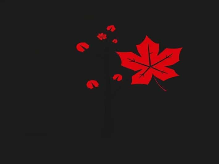 Red Maple Balsa And Birch