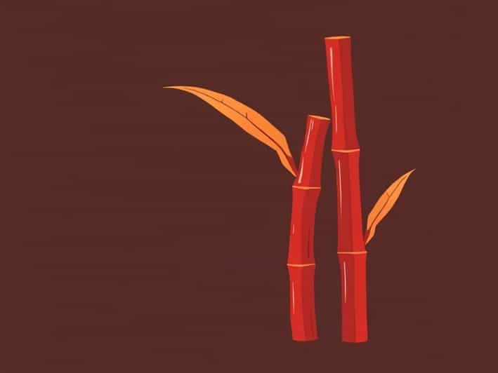 Red Rot Of Sugarcane Causal Organism