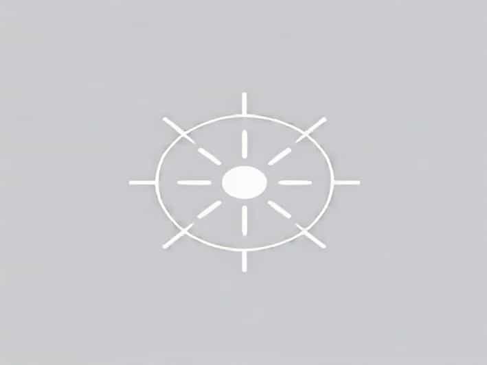 Represent Schematically The Non Cyclic Photophosphorylation