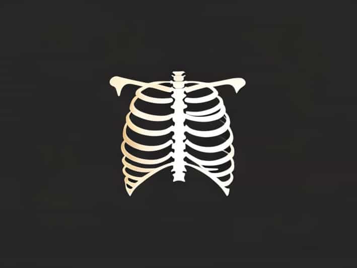 Ribs Protrude More On One Side