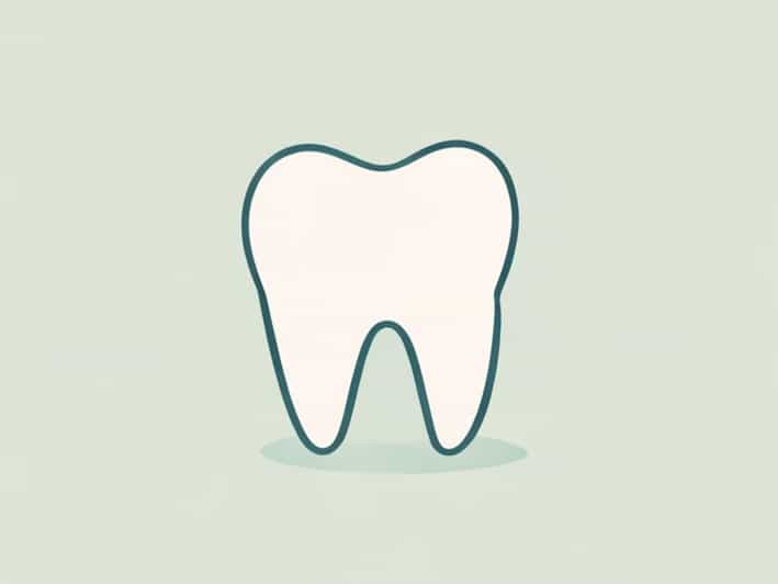 Salary For Dental Hygienist In Florida