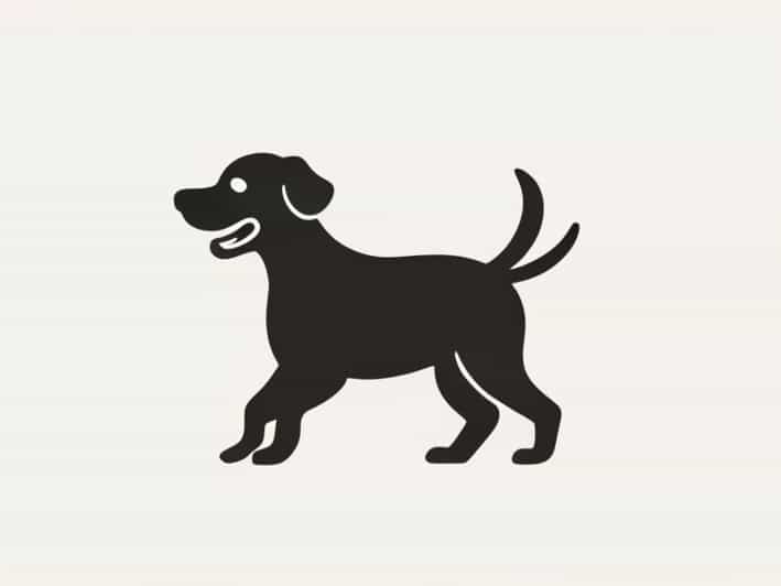 The Dog Wagged Its Tail Furiously