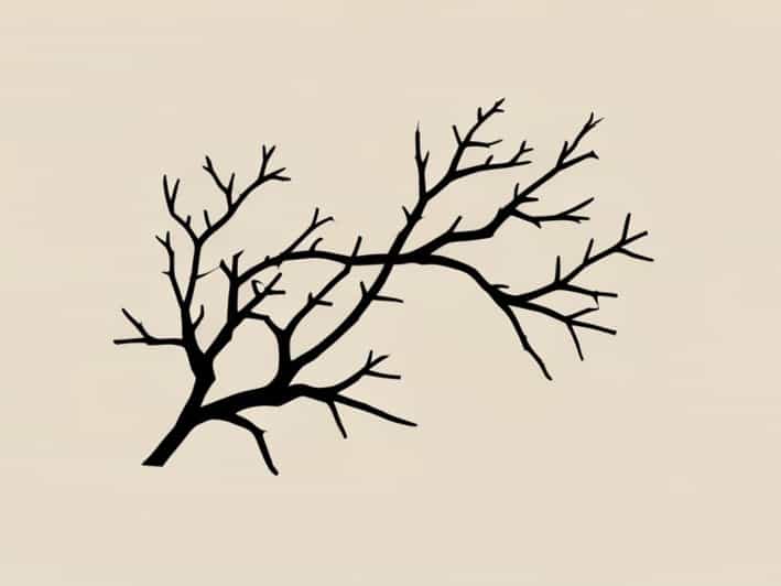 The Unfruitful Branches In John 15