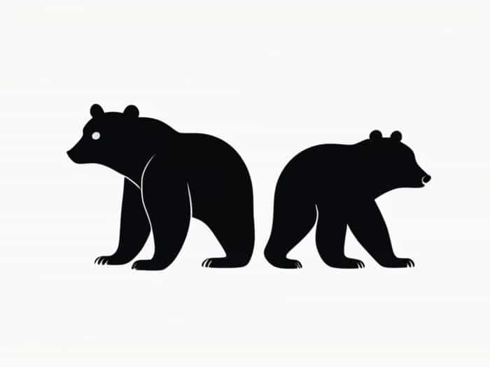 Are Black Bears Skittish
