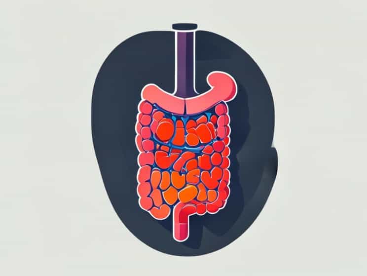 Digestive System Is Responsible For