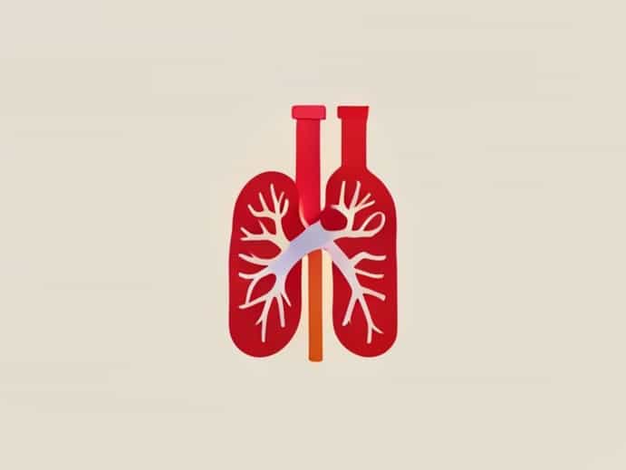 Does Alcohol Affect Kidneys