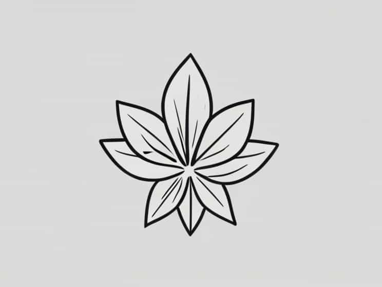 Give The Function Of Sepal