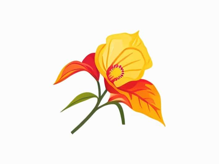 Hoya Bella Peduncle Turning Yellow