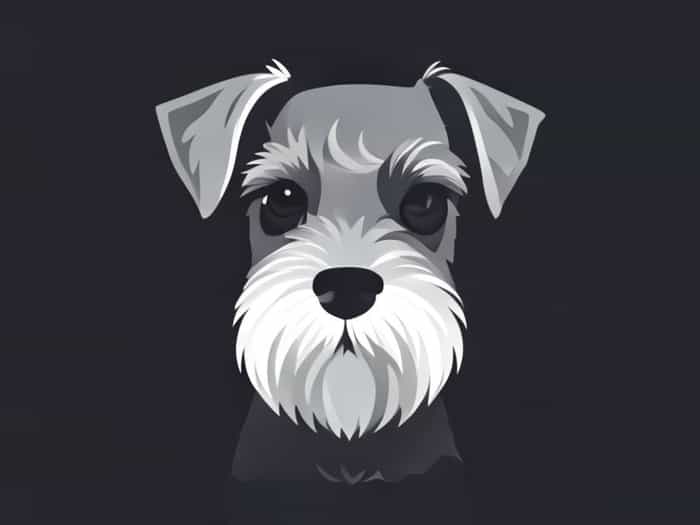 Is A Schnauzer Hypoallergenic