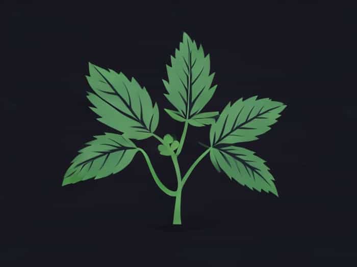 Is Nightshade A Weed