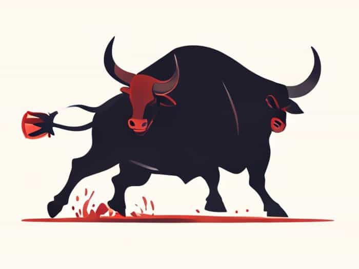 Killing Bull In Bullfight