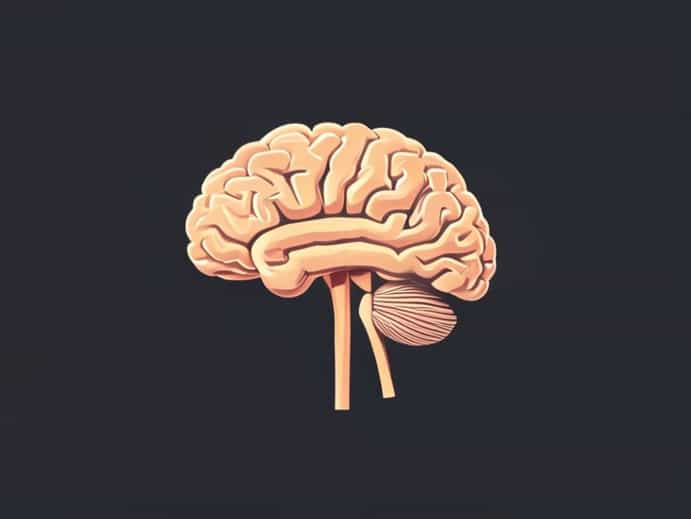 Left Superior Cerebellar Peduncle