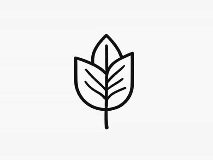 Object Oppose Leaf X Phone