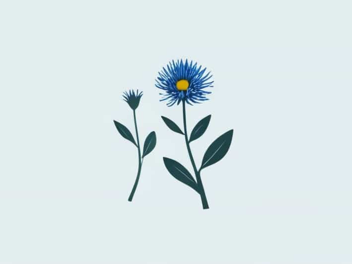 Organic Blue Tansy Essential Oil