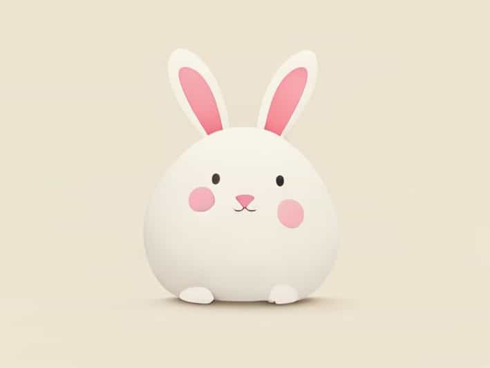 Plumpy Pudgy Portly Chunky Bunny