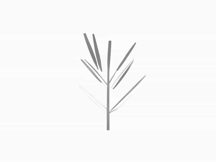 Silver Reed Ribber Manual