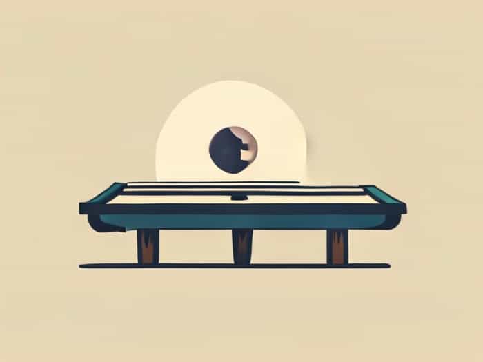 St Pete Shuffleboard Club