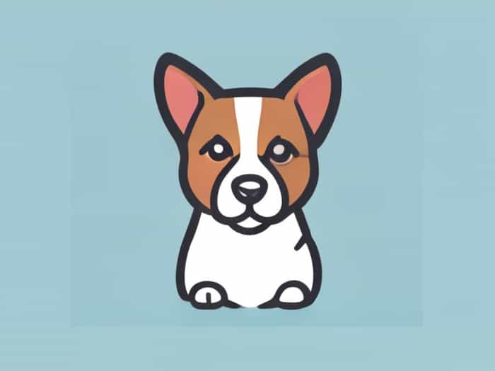 Vets For Pets Bradford