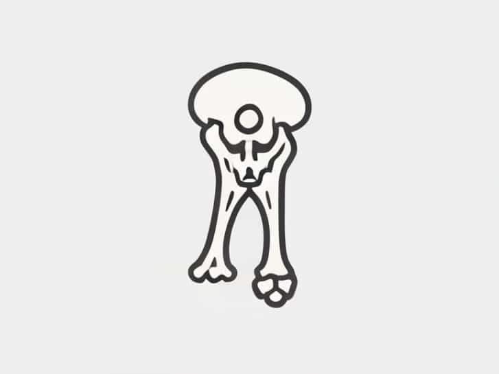 First Bone To Ossify In Upper Limb Is