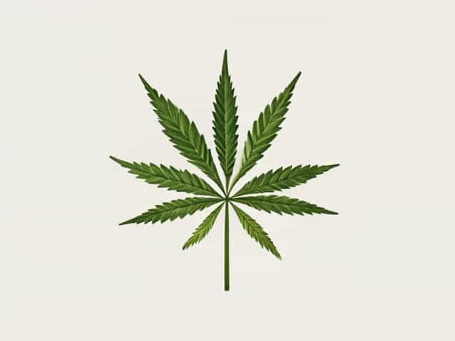 Hempathane Topcoat 55210 Color Chart