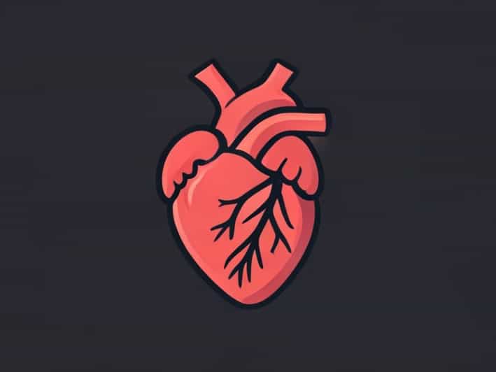 How Many Chambers Does The Heart Have