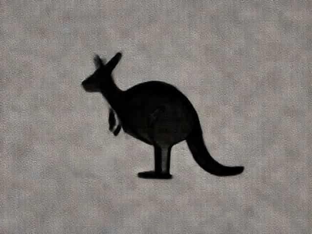 Kangaroo Is A Herbivore Or Carnivore