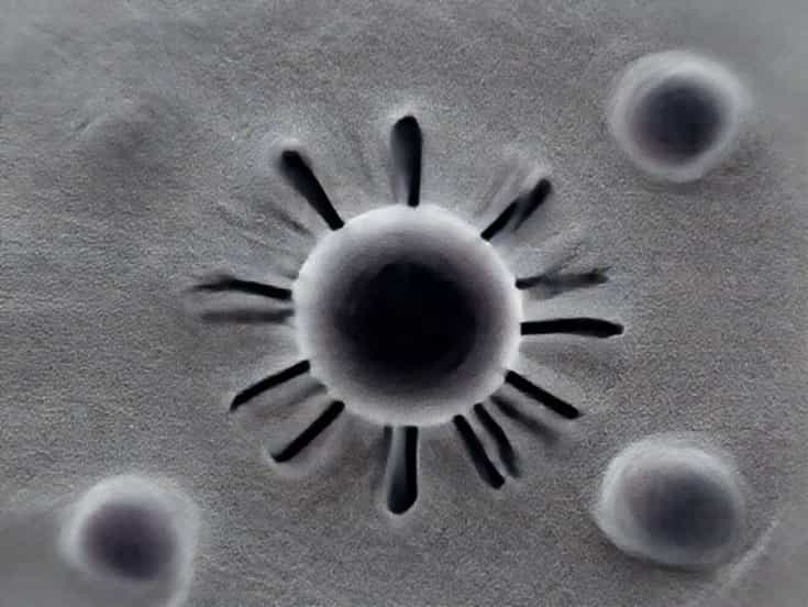 Ophthalmia Neonatorum Causative Agent