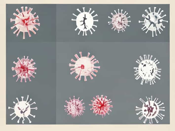 Pictures Of Mast Cell Tumors In Dogs