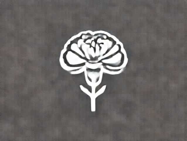 Questions To Ask At A Meet And Greet