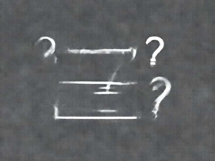 Question When Does A Carnation Bloom