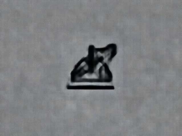 Uncooked Glutinous Sticky White Rice