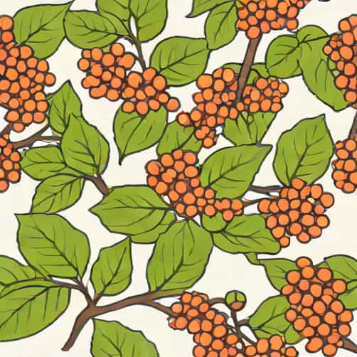 Viburnum Odoratissimum Sweet Viburnum