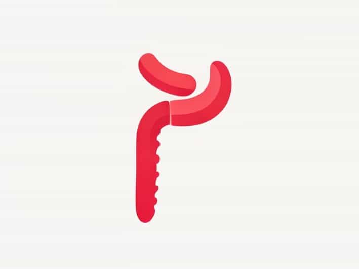 What Are The Parts Of Fallopian Tube