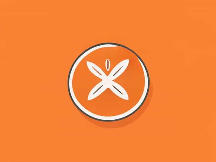 What Is Something In The Orange About