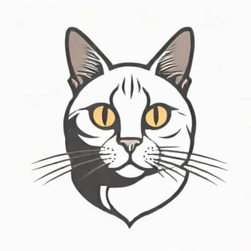 How To Make My Cat Less Skittish