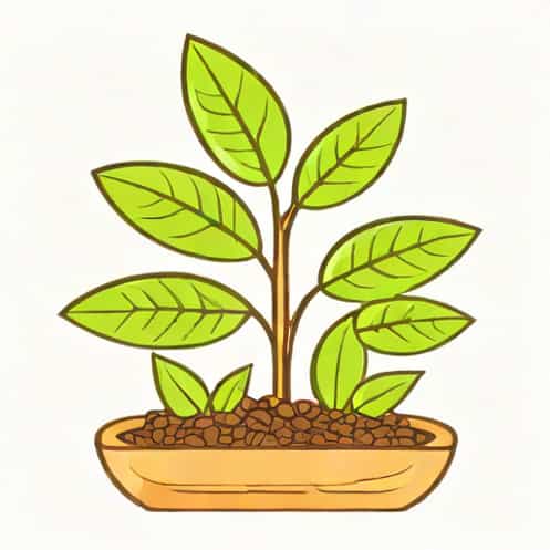 How To Test Plants For Edibility