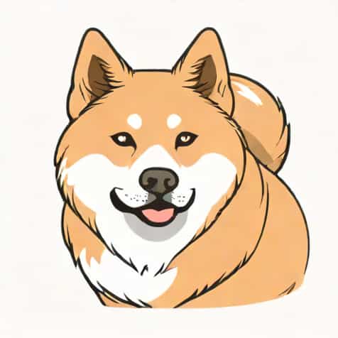 What Is The Lifespan Of An Akita