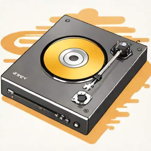 How To Finalize A Dvd On Magnavox Zv427mg9