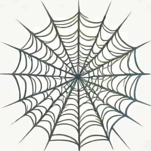 Is Spiderweb One Word