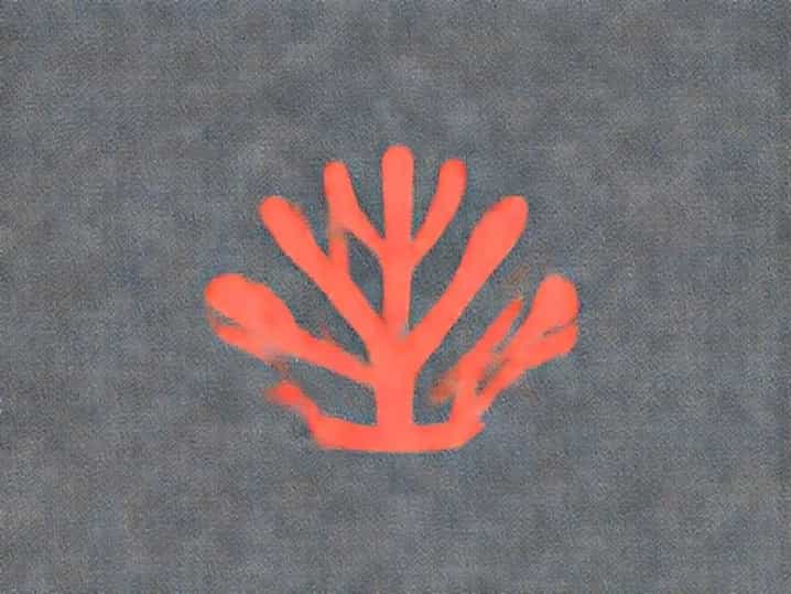 What Color Is Coral
